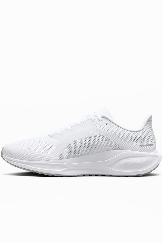Pegasus Road Running Shoes
